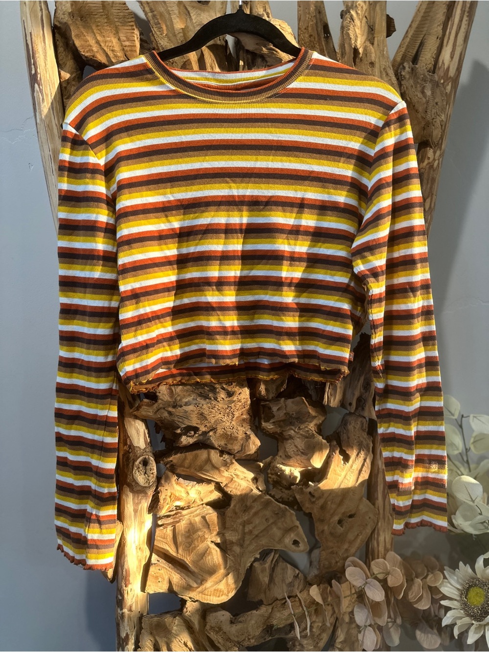 Dickies Multi-Color Striped Long Sleeve Crop Top